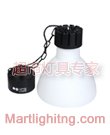 BVL-FRL-510系列超市生鲜吊灯灯具